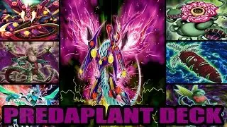 PREDAPLANT DECK | YGOPRO | TH3B4TMaN