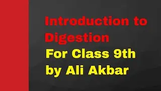 Digestion in Human (Introduction) Class 9th by Ali Akbar