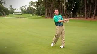 PGA Professional tips on playing No. 16 at TPC Sawgrass