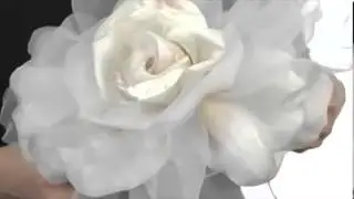 Jane Tran Large White Silk Flower Headband SKU:#8012022