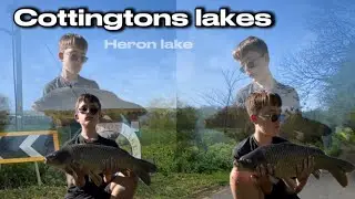 Carp fishing | cottingtons lake | Heron lake