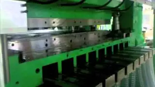 Cupping System