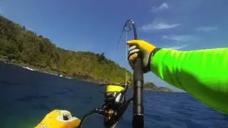 GT on stickbait
