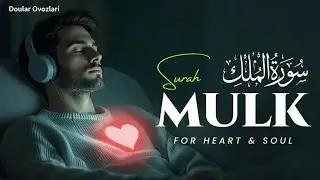 Quran Recitation to Calm the Mind &bull; Stress Relief &bull; Sleep Aid &bull; Anxiety Control | ALAA YASEER
