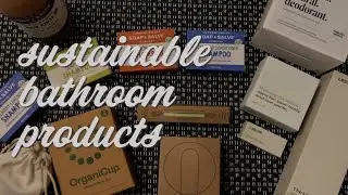 Sustainable and Eco-Friendly Bathroom Products ♻️🧴🧻 | TUSHY, Leaf, LastObject and more! 💩🚽