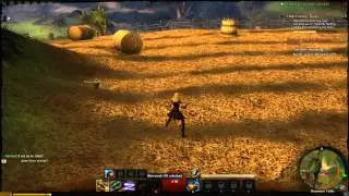 Guild Wars 2 - Events & Quests