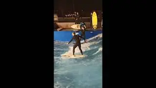 Surf en Madrid