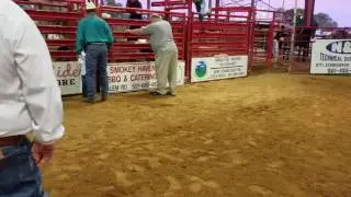 Brady's First Mutton Bustin Ride 2016 Saline County Fair