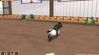 show jumping game horse