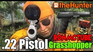 theHunter 2015 .22 grasshopper pistol