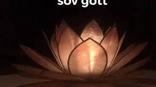 Sov gott