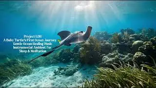 A Baby Stingray&rsquo;s First Ocean Journey 🌊 1 Hour Deep Ocean Ambient Music for Sleep & Meditation