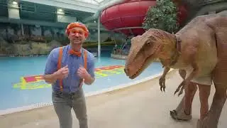 Flippi encuentra un dinosaurio 
