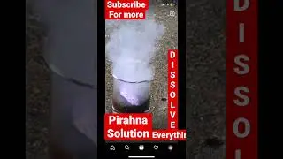 Piranha solution #science #scienceactivity #shorts #youtubeshorts #viral #learnandfun