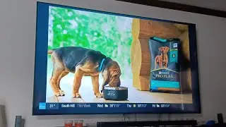 Purina Pro Plan🐕 2025 Commercial - Fuel for Life: Win (:15)