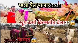 म्हसा बैल बाजार 2026🤩। सगळ्यात  कमी किंमतीत बैल 😱😍 #bailgada #mhasa #bail #marathivlog 