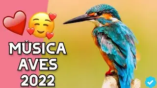💤🐦MÚSICA Relajante para AVES 2022💤🐦| Música para dormir canarios, agapornis, ninfas, loros y pájaros
