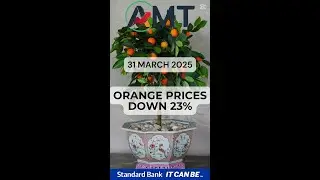 Orange Prices Down 23% 31 Mar 2025.mp4