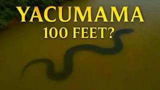 Yacumama &ndash; The Mother of Serpents in the Amazon | 100 Feet Long?