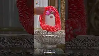 Manobuddhyankara Chittani Naham | Nirvana Shatkam | Maha Shivaratri Videos | Sayeeshwara Lingam