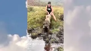 She Rescued a Helpless Sheep and Goat from Mud | Heart-Touching Animal Rescue Story