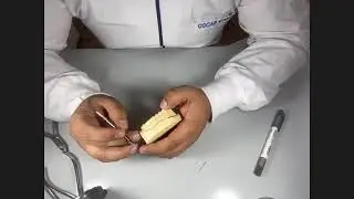 Retenedor Adams y resorte z