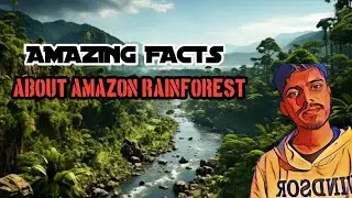🛑Facts about Amazon Rainforest 😱| Tamil | InfoRoundup
