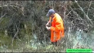 How to Set a Beaver,Otter, Mink, Muskrat Drowner Trap