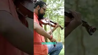 TE RE LIYE   -   SHAMMIKA
