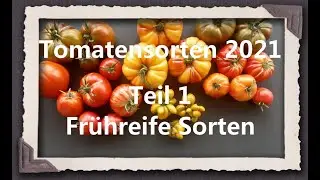 Tomatensorten 2021 Teil 1 - Fr&uuml;hreife Sorten