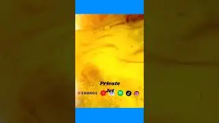 Private Jet #shortvideo #freedommusic