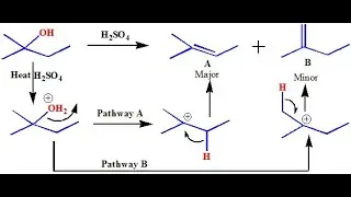 Regioselective, Regiospecific and Chemoselective Reactions