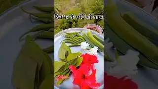 Homemakers के दिन का एक छोटा हिस्सा #shorts#ytviral#kitchenroutine #minivlog#dailyvlog#gardenharvest