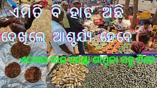ଏମିତି ହାଟ କେବେ ଦେଖି ନଥିବେ // ମୋରଡ଼ା ହାଟ // ମୟୁରଭଞ୍ଜ // morada hata // mayurbhanj @VloggerDesiToka