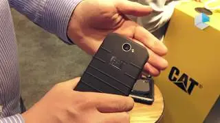 CAT S31, S41 rugged smartphones and Caterpillar T20 at IFA 2017