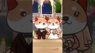 Happily Ever After with BabyDoge 🐾💸 #crypto