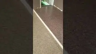 Epoxy Flake system in 3 colors.