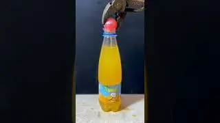 We're here, soft drink lovers!#funny #ai #ai #aivideo #animals #art #fi