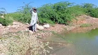 #fishing #ami zing#fishing natFishing