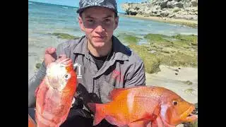 New year's fishing trip 2025/2026