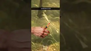 La Regia a funghi nel bosco...