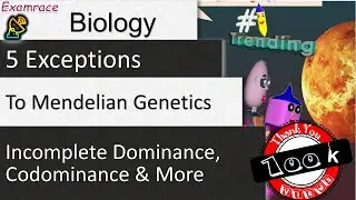 5 Exceptions to Mendelian Genetics: Incomplete Dominance, Codominance & More