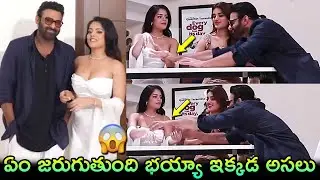 ఏం జరుగుతుంది భయ్యా ఇక్కడ అసలు??😲 Prabhas Sandeep Reddy Vanga Full Interview|The Raja Saab