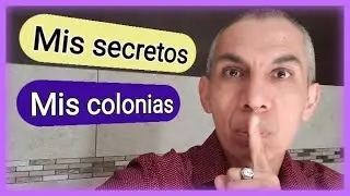 🚩Cómo, cuando y con qué  ALIMENTAR hormigas (Guia COMPLETA) ATTA, Camponotus, Pheidole, Solenopsis
