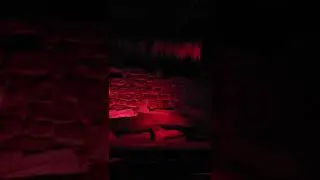 Haunted Castle Dark Ride Santa Cruz Beach Boardwalk