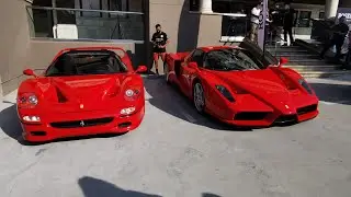 Ferrari F50 David Lee