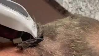 Maxx Shaves Daddy Head