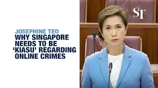Online Criminal Harms Bill includes &lsquo;kiasu&rsquo; measures to target suspicious cyber activity