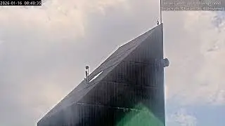 Girri visits the roof, FalconCam Project, Orange NSW, 16 January 2026