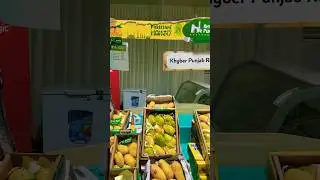 Pakistan Mango Festival Qatar! #mango #pakistan #gold #souqwaqif #festival #views #doha #qatar #fyp